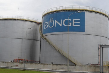 bunge