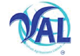 logo-val-01